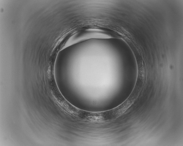 X0000054410552200507291145