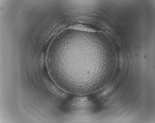 X0000054410554200507291145