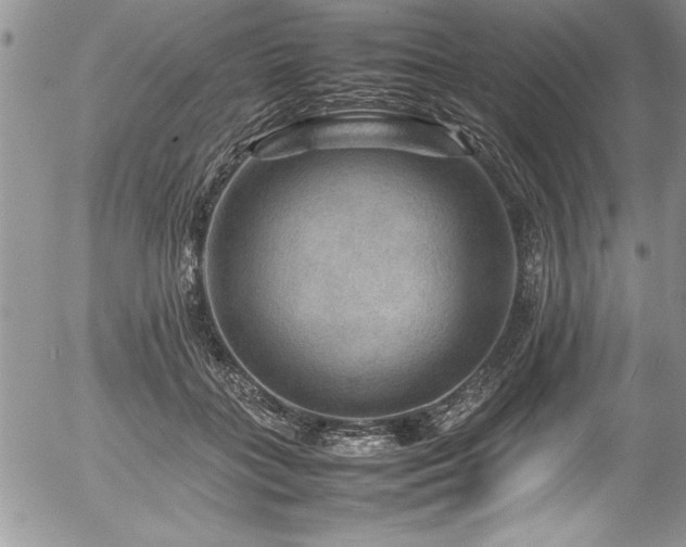 X0000054410555200507291145