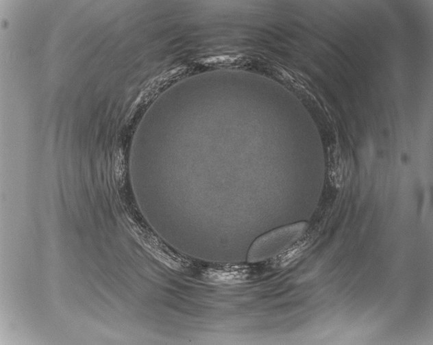 X0000054410563200507291145