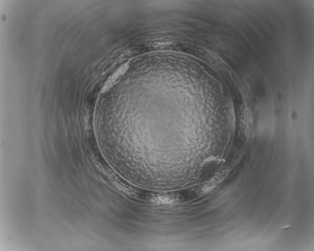 X0000054410565200507291145