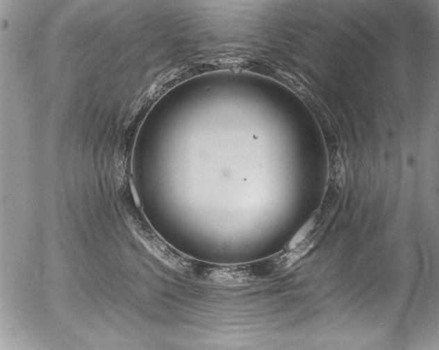 X0000054410568200507291145