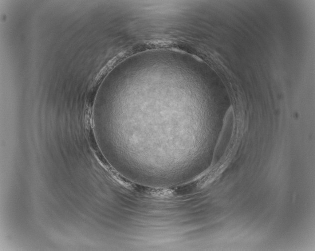 X0000054410576200507291146