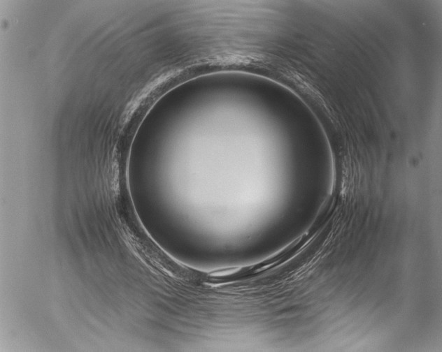 X0000054410584200507291145