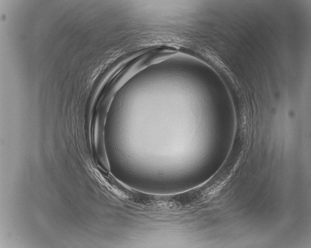 X0000054410585200507291145