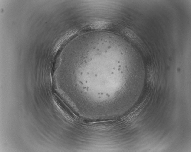 X0000054410586200507291145