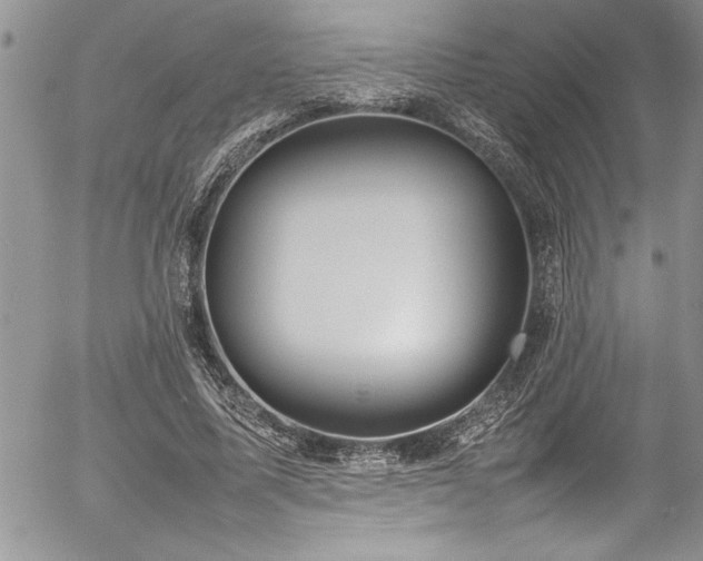 X0000054410587200507291145