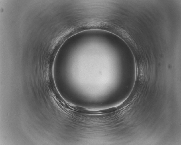 X0000054410588200507291145