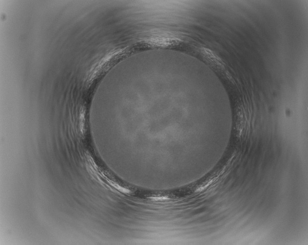 X0000054410596200507291145