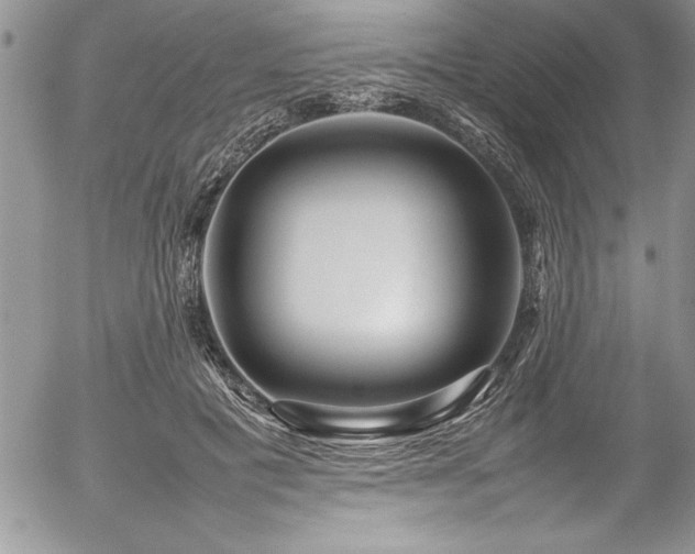 X0000054410601200507291144
