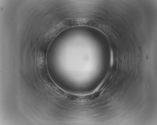 X0000054410608200507291144