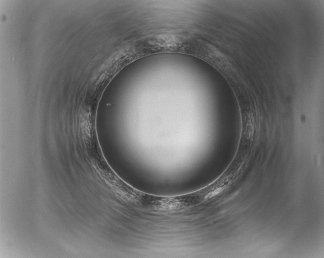 X0000054410612200507291144