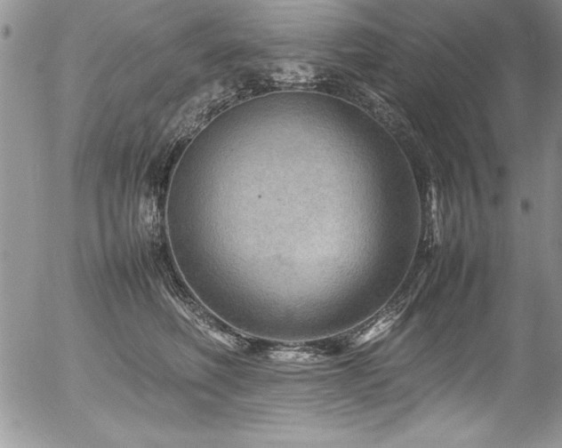 X0000054410614200507291144