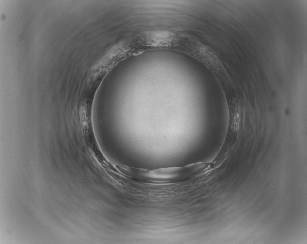 X0000054410620200507291144