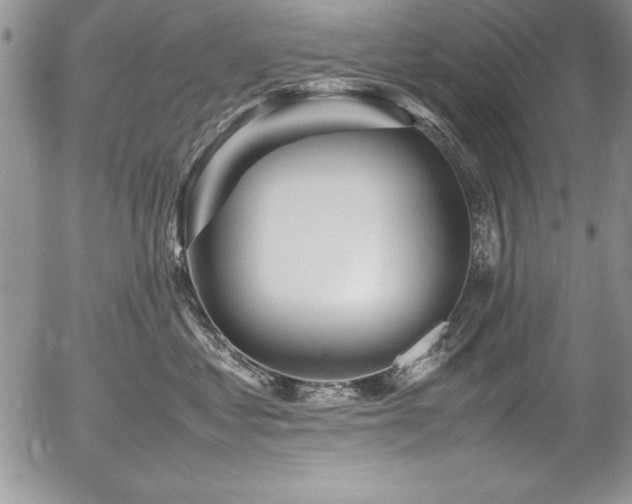X0000054410621200507291144