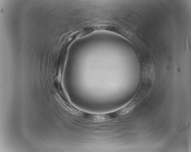X0000054410623200507291144