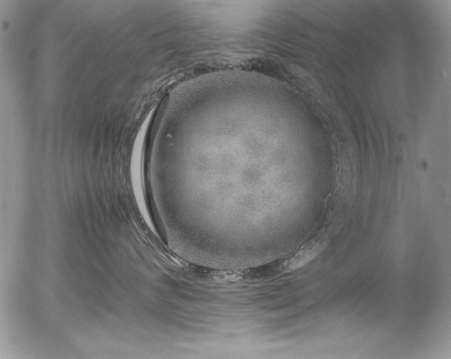 X0000054410624200507291144