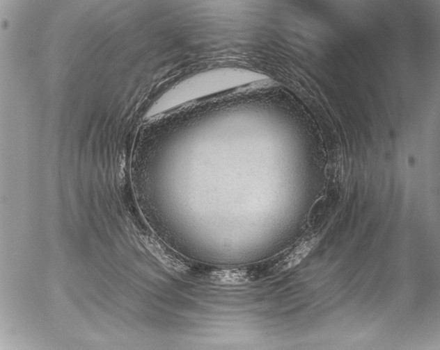 X0000054410660200507291144