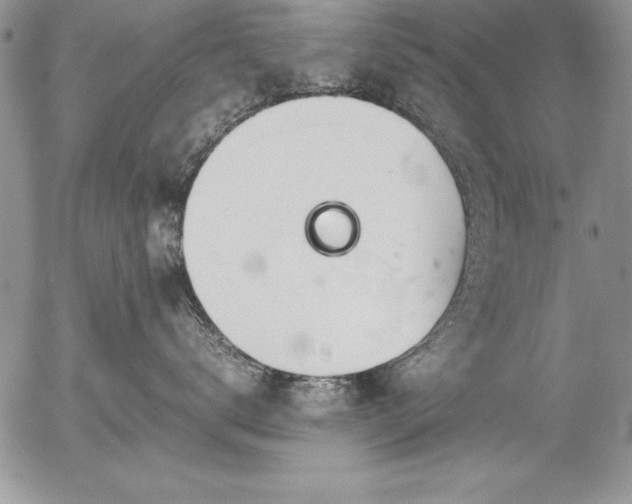 X0000054410672200507291144