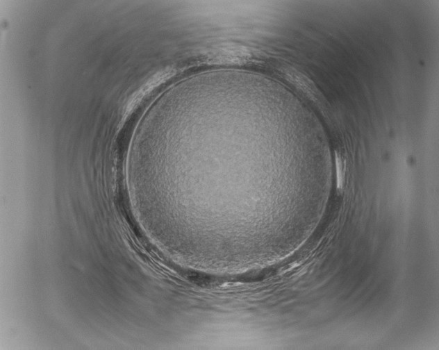 X0000054410675200507291143