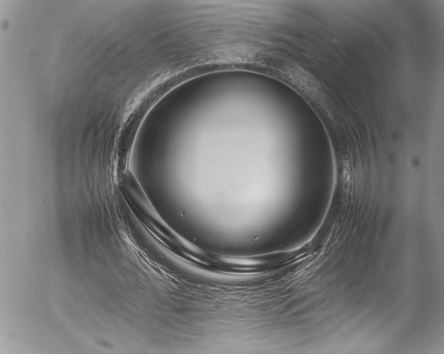 X0000054410676200507291143