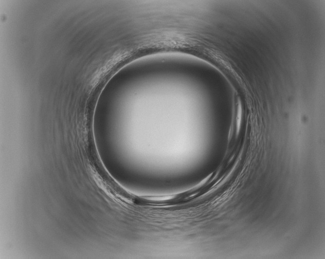 X0000054410677200507291143