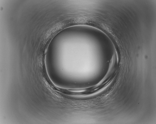 X0000054410681200507291143