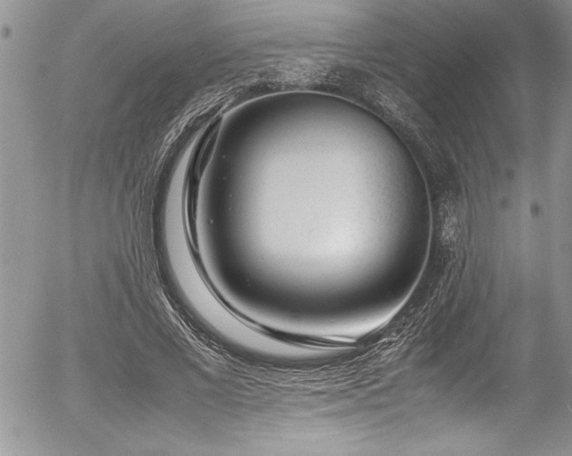 X0000054410685200507291143