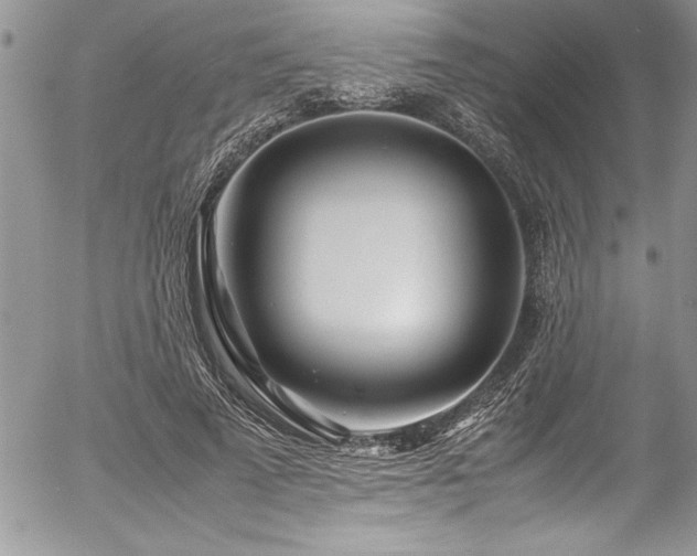 X0000054410689200507291143
