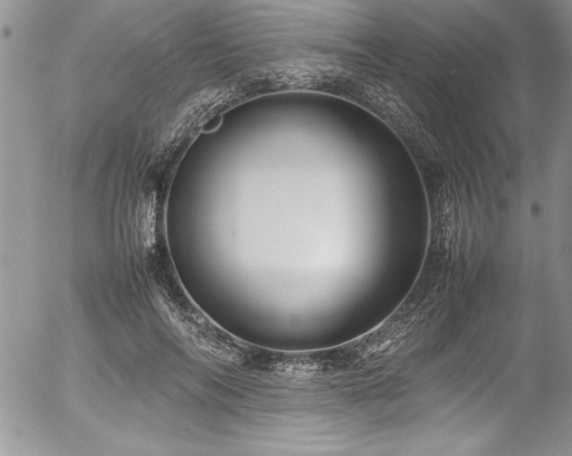 X0000054410694200507291143
