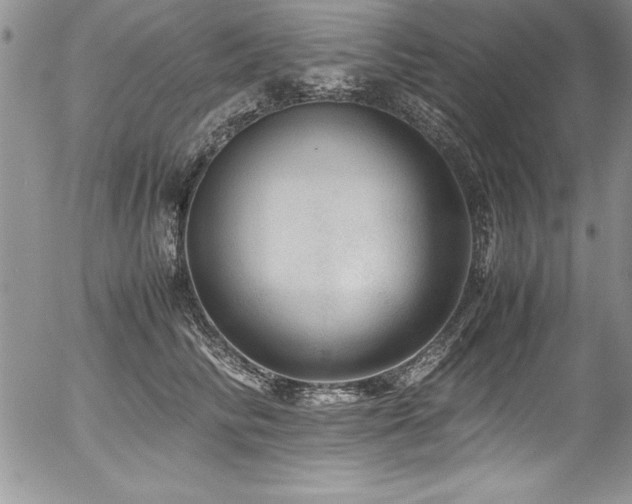 X0000054410710200507291143