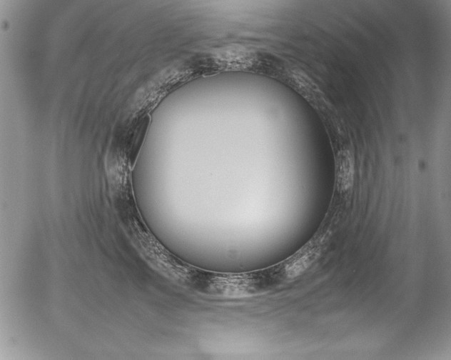 X0000054410713200507291143