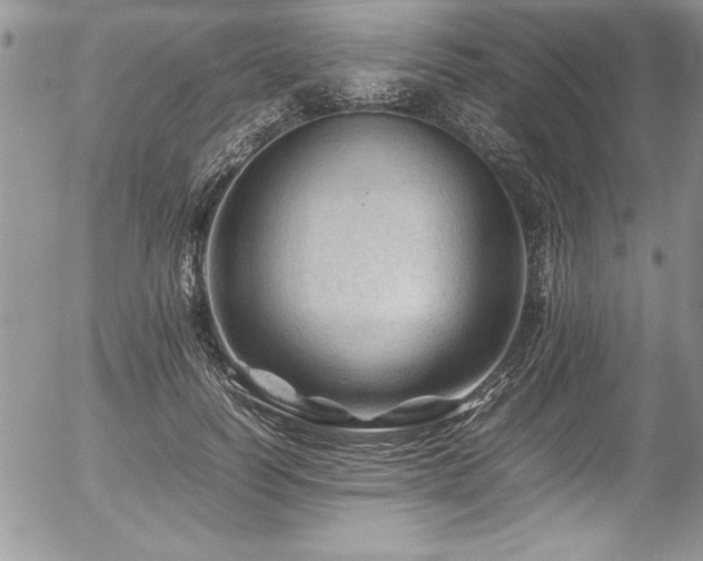 X0000054410746200507291142