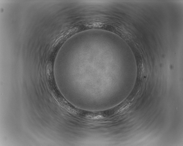 X0000054410747200507291142