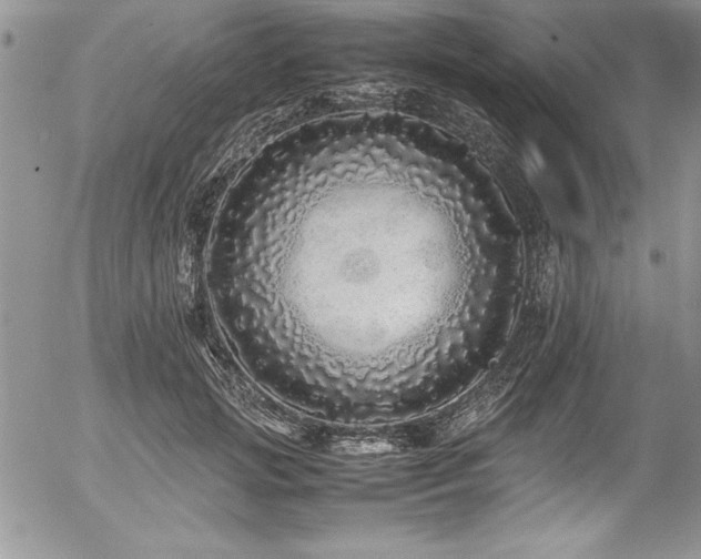 X0000054410749200507291142