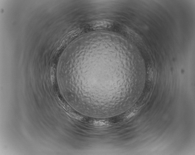 X0000054410753200507291142