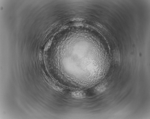 X0000054410761200507291142