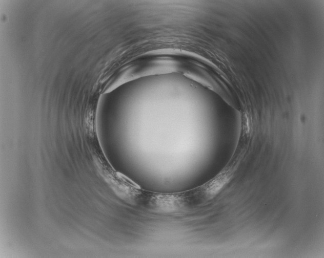 X0000054410766200507291142
