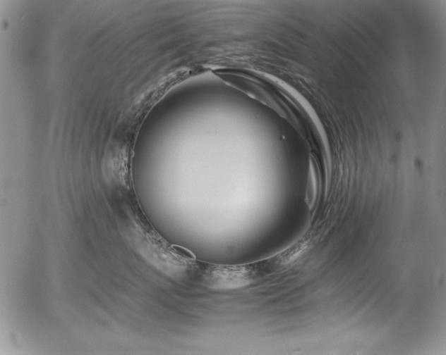 X0000054410767200507291142
