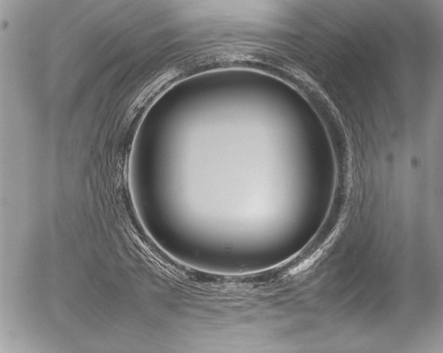 X0000054410785200507291141