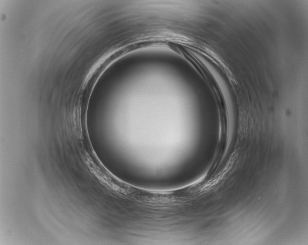 X0000054410788200507291141