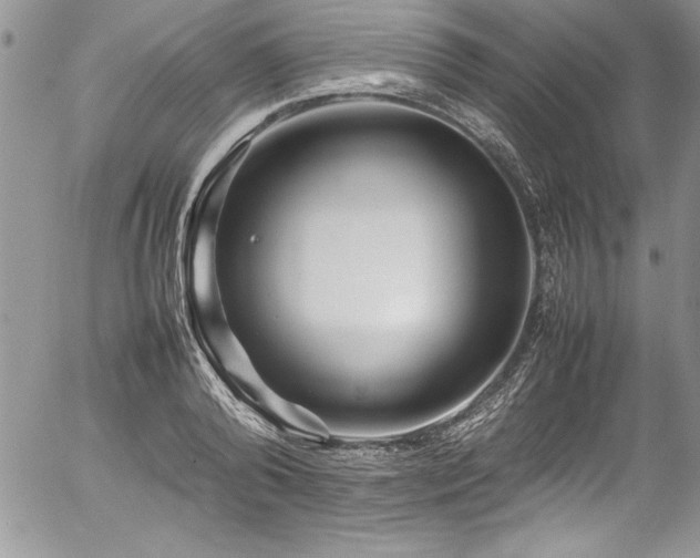 X0000054410792200507291141