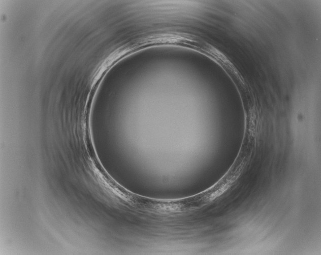 X0000054410802200507291141