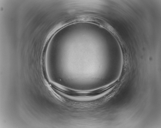 X0000054410803200507291141
