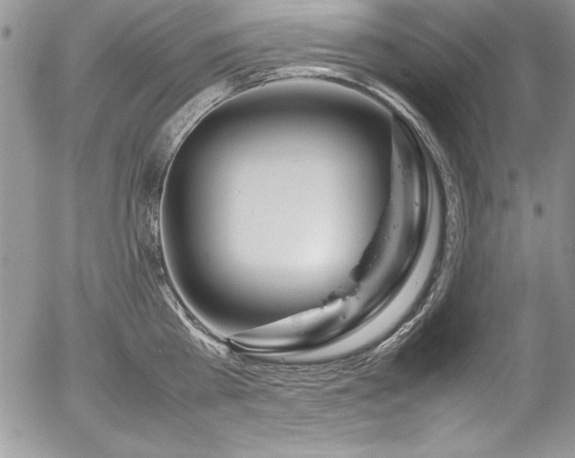 X0000054410809200507291141