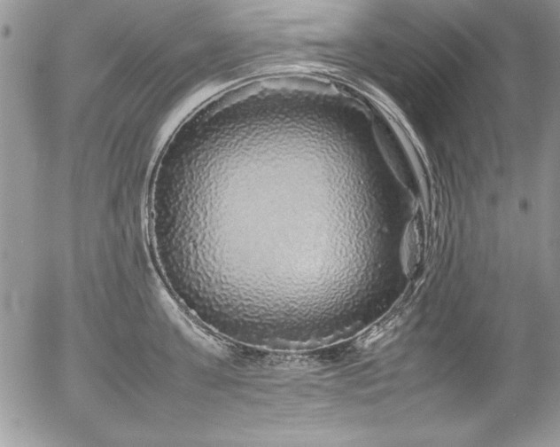 X0000054410811200507291141
