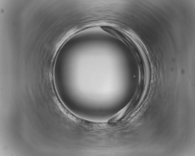 X0000054410813200507291141