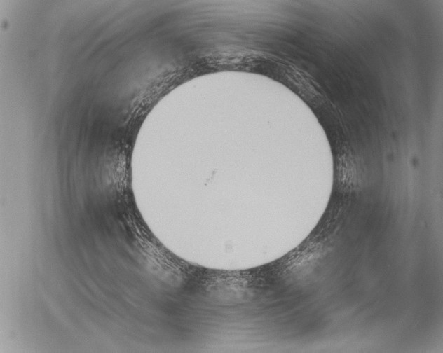 X0000054410820200507291140