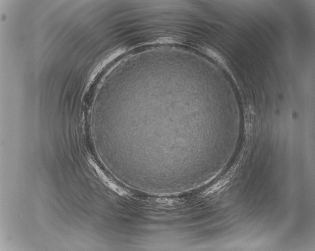 X0000054410827200507291140