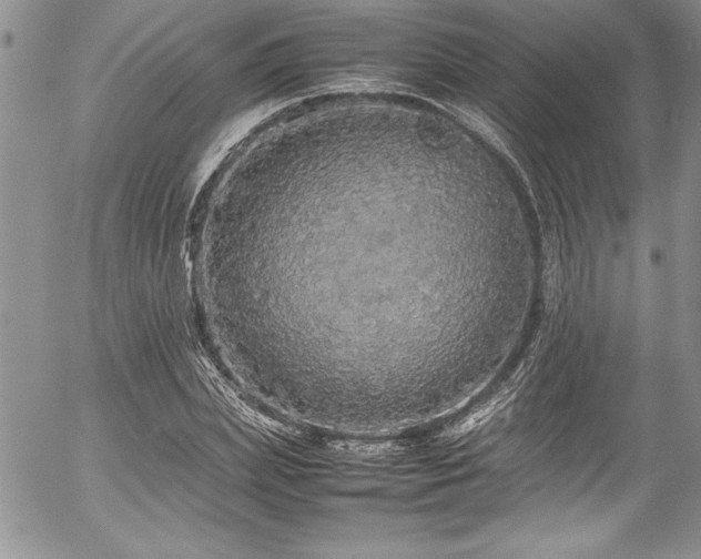 X0000054410831200507291140